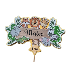 Cake Topper