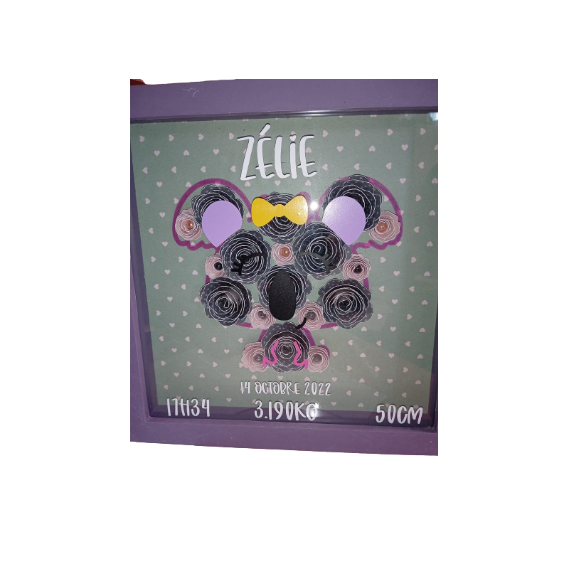 Cadre Naissance koala
