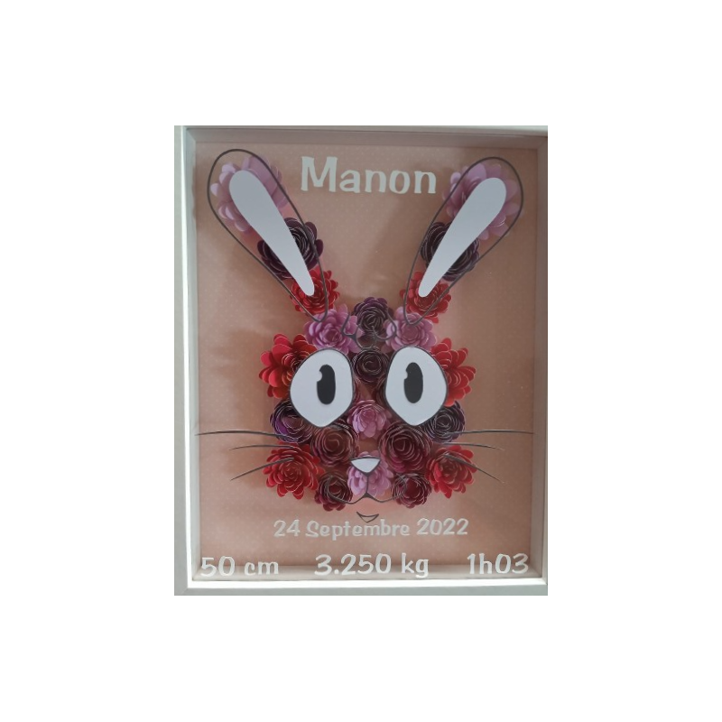 Cadre Naissance lapin