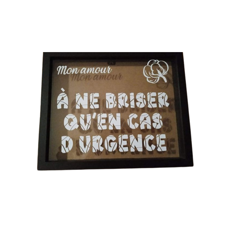 Cadre "A ne briser qu'en cas d'urgence"