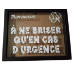 Cadre "A ne briser qu'en cas d'urgence"