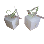 Boîtes Dragées