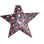 Etoile lumineuse