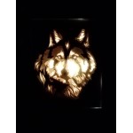 lightbox loup