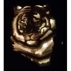 lightbox tigre