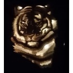 lightbox tigre
